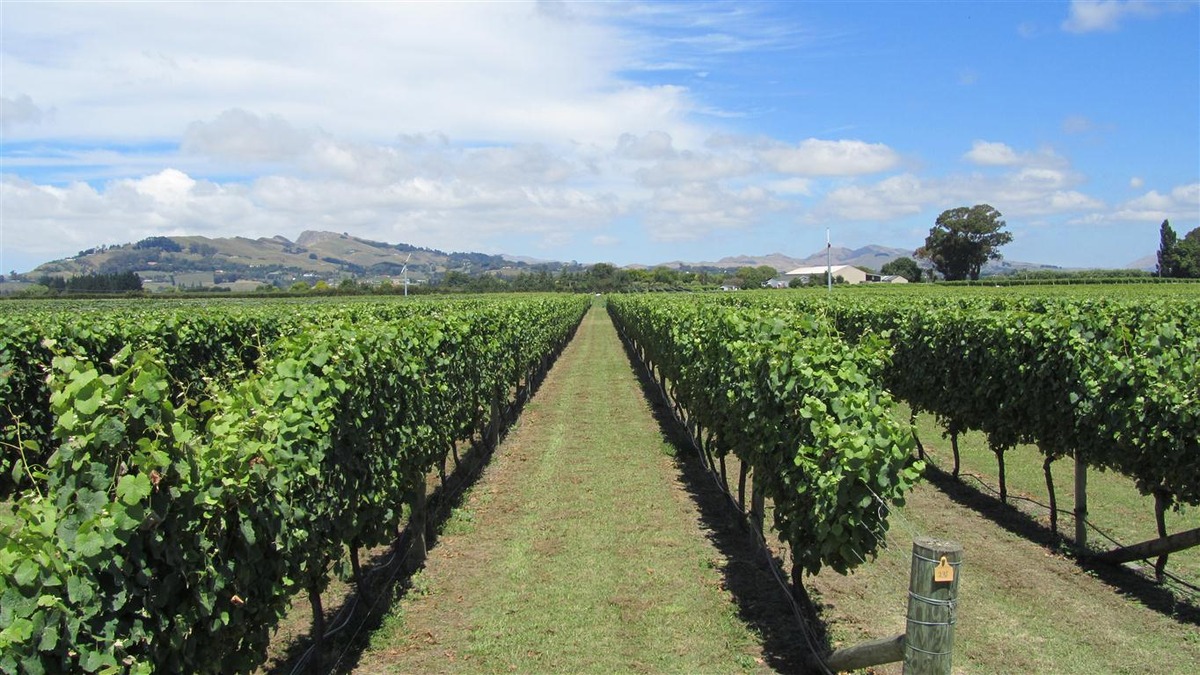 Wine Club - 27 March 2019: Askerne Estate Winery