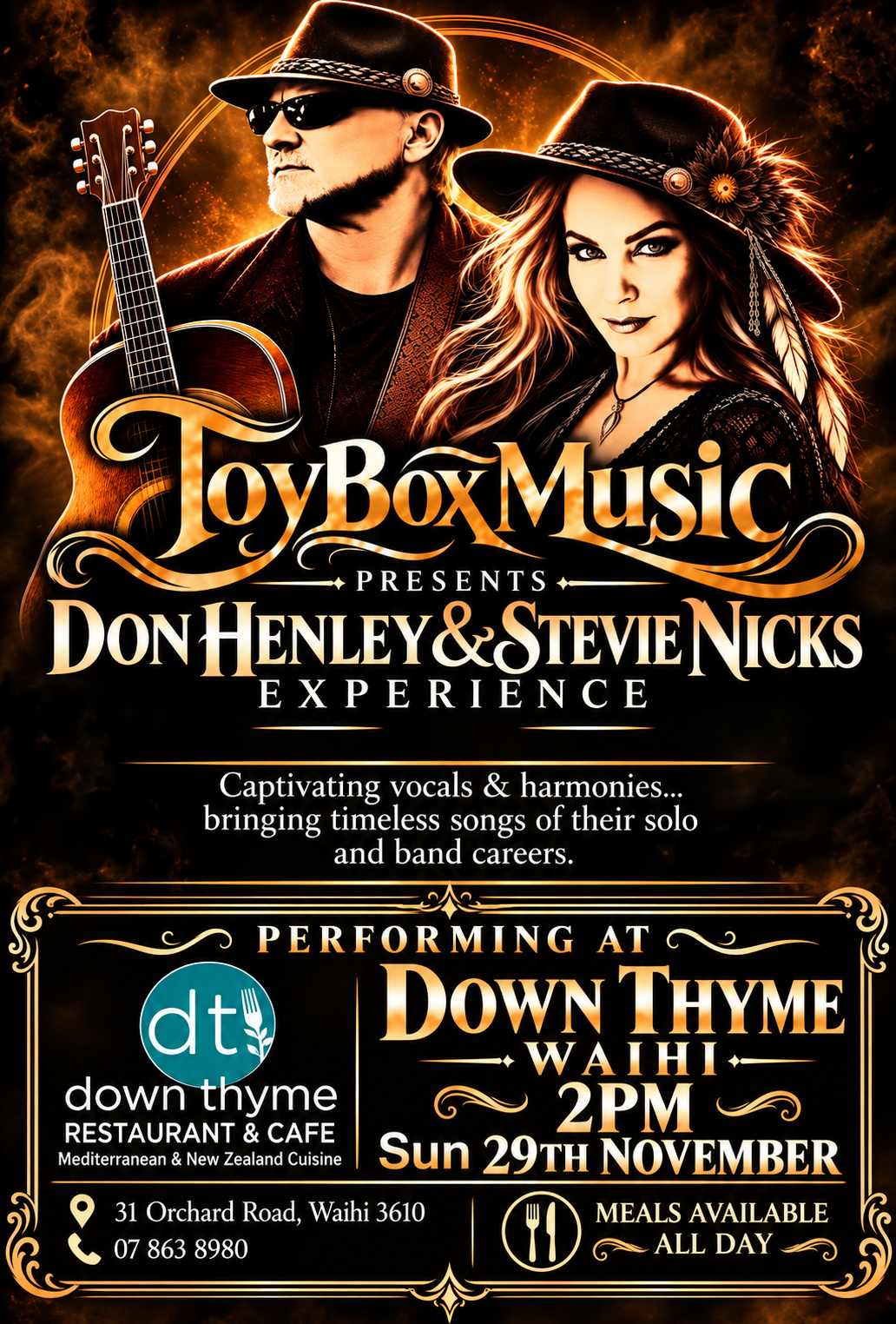 Don Henley and Stevie Nicks Experience!