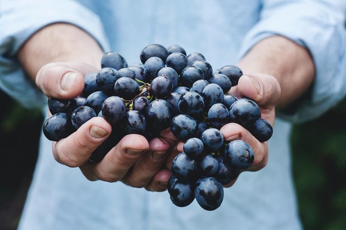 Social Wine Club - Coming Up in May