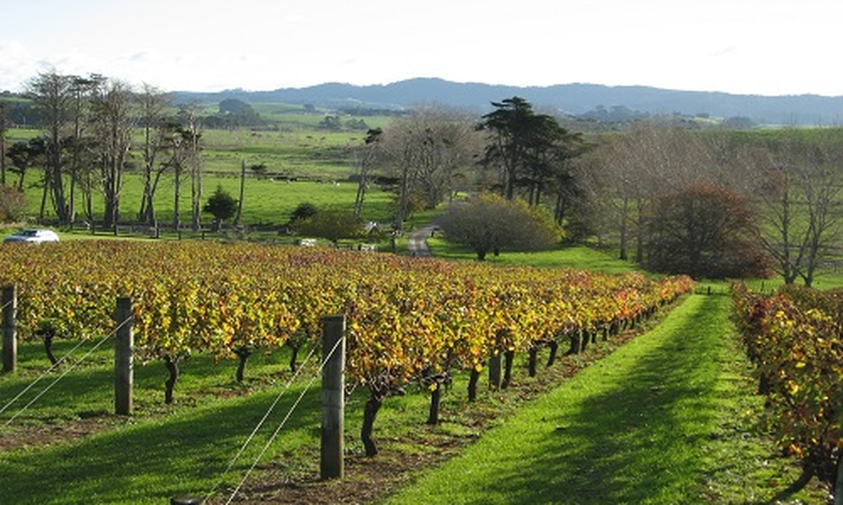Wine Club: 26th May - Hyperion Wines
