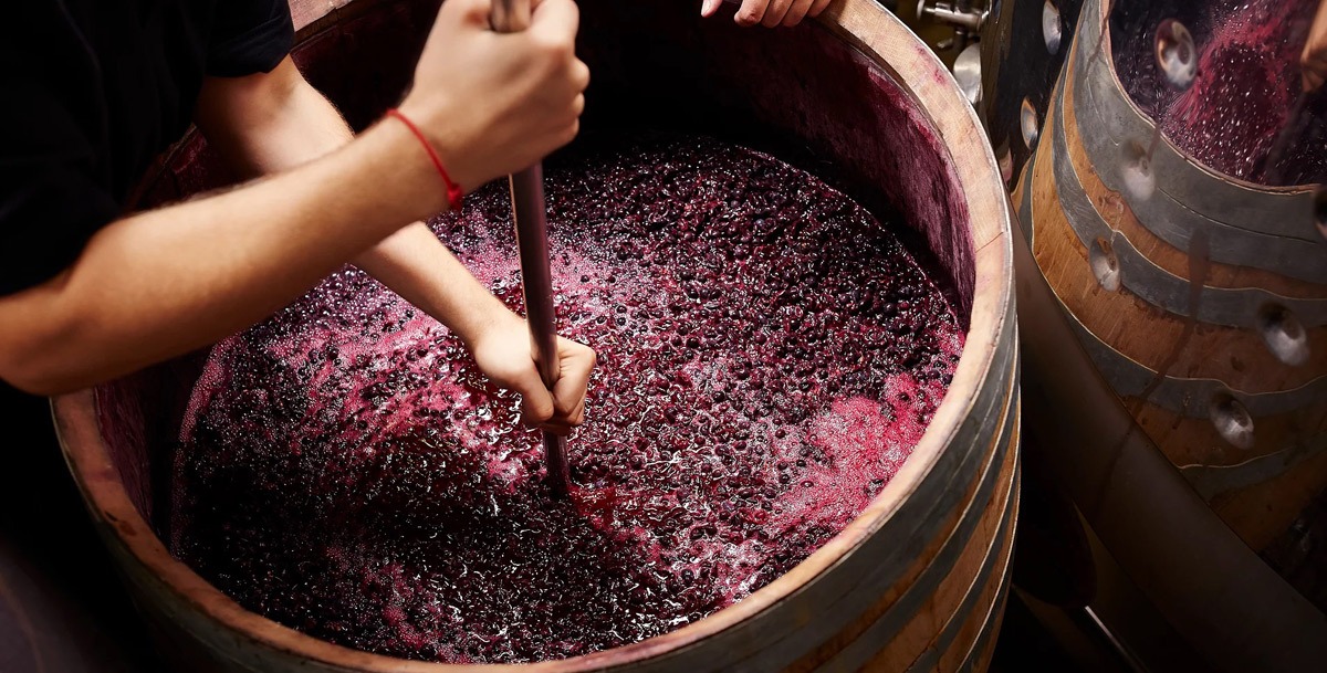 Wine Club - 28 November: Marsden Estate, Kerikeri
